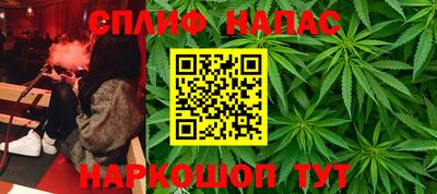 индика Усть-Илимск