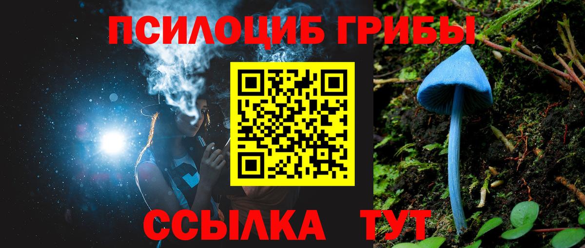 Галлюциногенные грибы GOLDEN TEACHER  Вход с VPN  закладки  Вязники  Галлюциногенные грибы мухоморы 